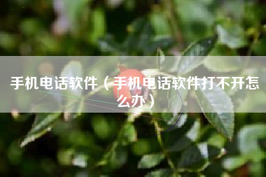 手机电话软件（手机电话软件打不开怎么办）