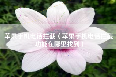 苹果手机电话拦截（苹果手机电话拦截功能在哪里找到）