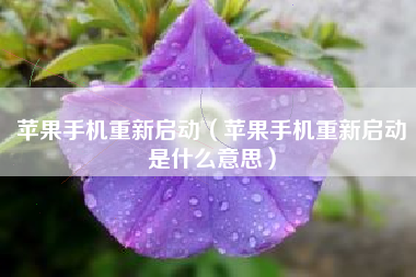 苹果手机重新启动（苹果手机重新启动是什么意思）