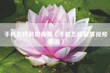 手机怎样截屏视频（手机怎样截屏视频画面）