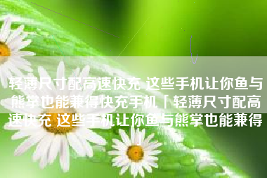 轻薄尺寸配高速快充 这些手机让你鱼与熊掌也能兼得快充手机「轻薄尺寸配高速快充 这些手机让你鱼与熊掌也能兼得」