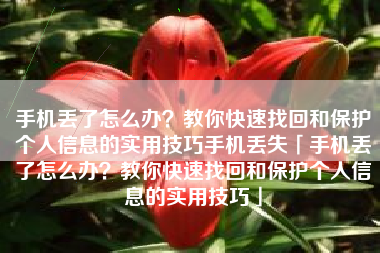 手机丢了怎么办？教你快速找回和保护个人信息的实用技巧手机丢失「手机丢了怎么办？教你快速找回和保护个人信息的实用技巧」