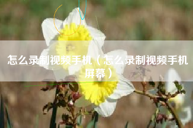 怎么录制视频手机（怎么录制视频手机屏幕）