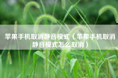 苹果手机取消静音模式（苹果手机取消静音模式怎么取消）