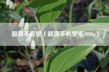 超清手机壁（超清手机壁纸1080p）