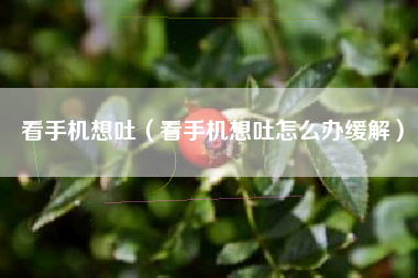 看手机想吐（看手机想吐怎么办缓解）
