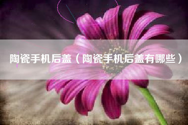 陶瓷手机后盖（陶瓷手机后盖有哪些）