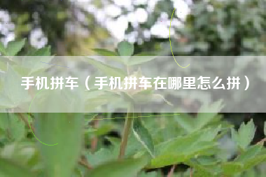 手机拼车（手机拼车在哪里怎么拼）