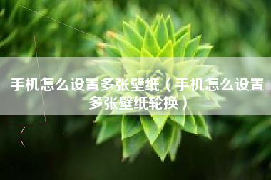 手机怎么设置多张壁纸（手机怎么设置多张壁纸轮换）