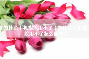 为什么手机指纹用不了（为什么手机指纹用不了怎么回事）