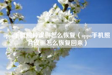 oppo手机照片误删怎么恢复（oppo手机照片误删怎么恢复回来）