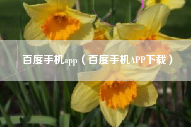 百度手机app（百度手机APP下载）