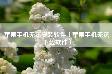 苹果手机无法安装软件（苹果手机无法下载软件）