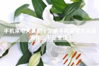 手机来电大头贴（苹果手机来电大头贴为什么不是全屏）