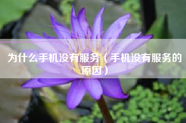 为什么手机没有服务（手机没有服务的原因）