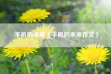 手机的未来（手机的未来作文）