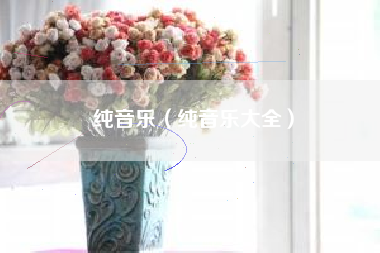 纯音乐（纯音乐大全）