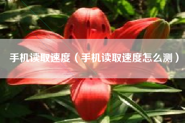 手机读取速度（手机读取速度怎么测）
