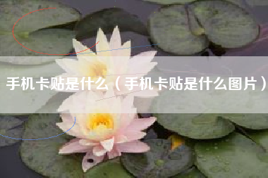 手机卡贴是什么（手机卡贴是什么图片）