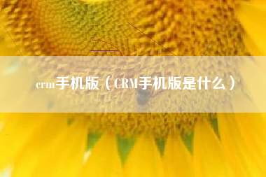 crm手机版（CRM手机版是什么）