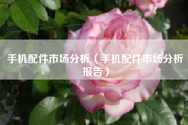 手机配件市场分析（手机配件市场分析报告）