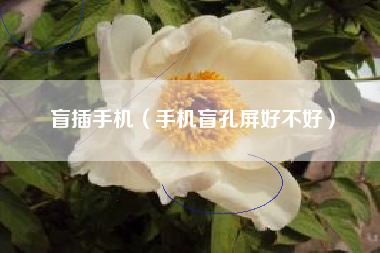 盲插手机（手机盲孔屏好不好）