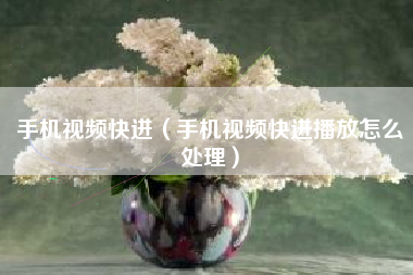 手机视频快进（手机视频快进播放怎么处理）
