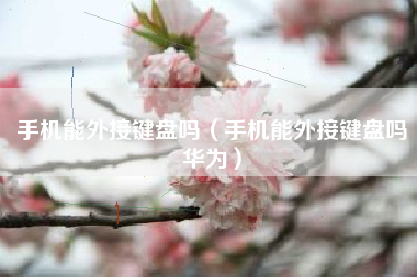 手机能外接键盘吗（手机能外接键盘吗华为）