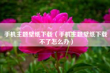 手机主题壁纸下载（手机主题壁纸下载不了怎么办）