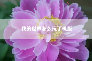 我的世界怎么玩手机版