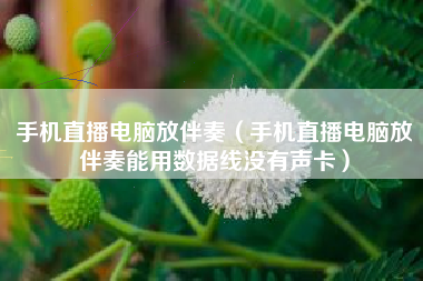 手机直播电脑放伴奏（手机直播电脑放伴奏能用数据线没有声卡）