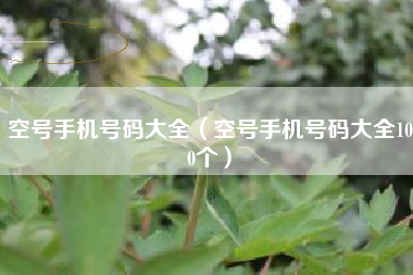 空号手机号码大全（空号手机号码大全100个）