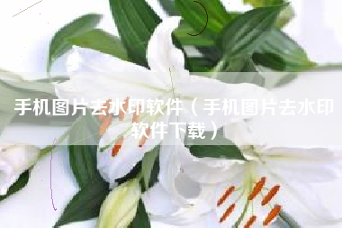手机图片去水印软件（手机图片去水印软件下载）