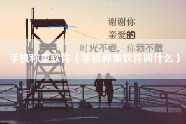 手机称重软件（手机称重软件叫什么）