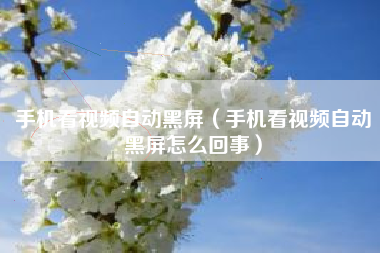 手机看视频自动黑屏（手机看视频自动黑屏怎么回事）