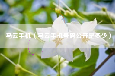 马云手机（马云手机号码公开是多少）