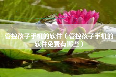 管控孩子手机的软件（管控孩子手机的软件免费有哪些）
