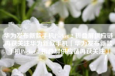 华为发布新款手机Pocket 2 折叠屏供应链再获关注华为新款手机「华为发布新款手机Pocket 2 折叠屏供应链再获关注」