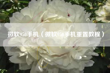微软950手机（微软950手机重置教程）