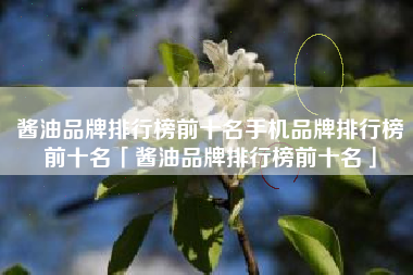 酱油品牌排行榜前十名手机品牌排行榜前十名「酱油品牌排行榜前十名」