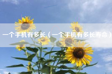 一个手机有多长（一个手机有多长寿命）