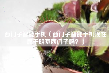 西门子智能手机（西门子智能手机现在属于明基西门子吗？）