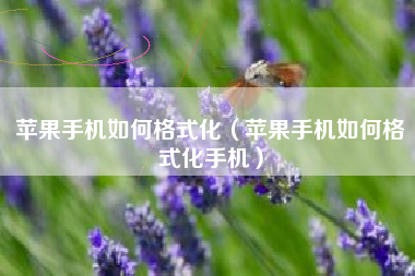 苹果手机如何格式化（苹果手机如何格式化手机）