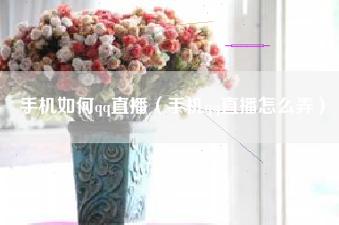 手机如何qq直播（手机qq直播怎么弄）