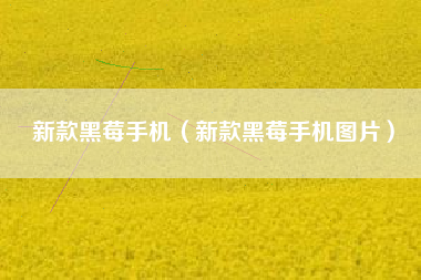 新款黑莓手机（新款黑莓手机图片）