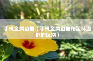 手机金属边框（手机金属边框和塑料边框的区别）
