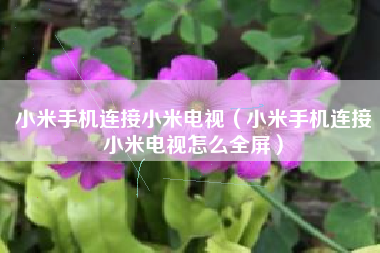 小米手机连接小米电视（小米手机连接小米电视怎么全屏）