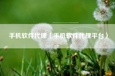 手机软件代理（手机软件代理平台）