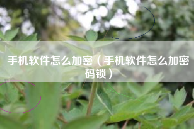 手机软件怎么加密（手机软件怎么加密码锁）