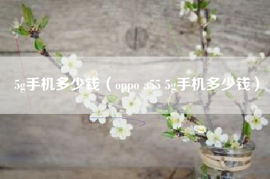 5g手机多少钱（oppo a55 5g手机多少钱）